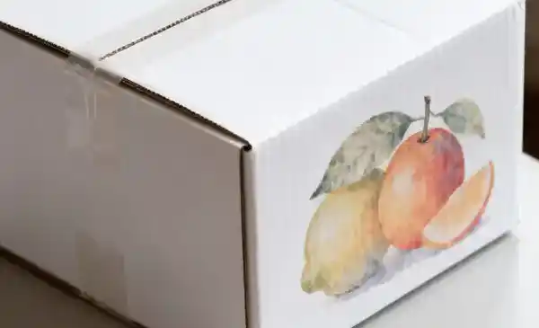 Problem 2: Insufficient adhesion of PP corrugated cardboard boxes